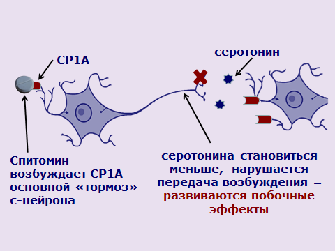 Рис. 5. Действие буспирона (Спитомина) на нормальные с-нейроны при тревоге (первые дни).